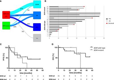 Beta-2-microglobulin Mutations Are Linked to a Distinct Metastatic Pattern and a Favorable Outcome in Microsatellite-Unstable Stage IV Gastrointestinal Cancers